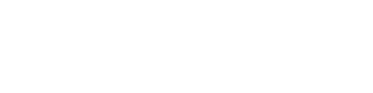 Nexus Fit